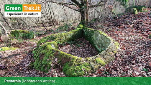 Pestarole etrusco-romane nella Riserva Naturale di Monterano Antica