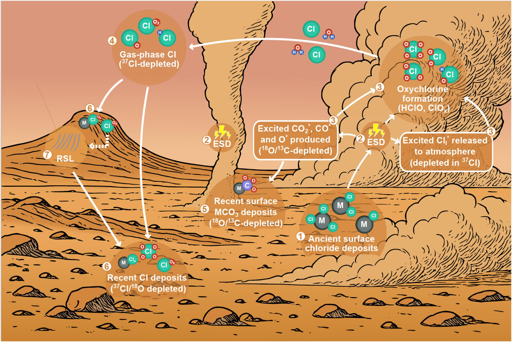Un modello concettuale del ciclo globale contemporaneo del cloro nell'atmosfera superficiale di Marte e dei carbonati aerodispersi, coerente con i risultati del presente studio (ovvero il trasferimento delle firme isotopiche).