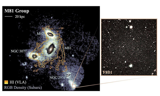 Densità delle stelle del ramo gigante rosso nel gruppo M81, che rivela la struttura globale del suo alone stellare e fornisce il contesto del gruppo per F8D1 (in basso a destra) e il suo flusso di marea esteso. Il nord è in alto e l'est è a sinistra.