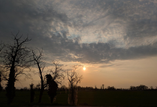 Questa immagine cattura un tramonto sereno e suggestivo sulla pianura. Ecco una descrizione dei suoi elementi principali:
Il Cielo e la Luce
Il protagonista è il sole, un disco luminoso e definito che scende verso l'orizzonte, filtrando attraverso una densa coltre di nubi stratificate. La luce solare tinge la parte inferiore del cielo di calde tonalità arancio e pesca, che sfumano gradualmente in un grigio-azzurro più freddo e malinconico nella parte superiore, dove le nuvole si fanno più spesse.
La Silhouette della Natura
In primo piano, sulla sinistra, svettano le sagome nere di alberi spogli. I loro rami intricati e privi di foglie si stagliano come ricami contro il chiarore del cielo, suggerendo una stagione invernale o l'inizio della primavera. Al centro, alberi più sottili e distanti sembrano quasi dissolversi nella luce soffusa.
Il Paesaggio
Sotto la linea dell'orizzonte si estende una vasta distesa piatta, probabilmente un campo, immersa nell'ombra. In lontananza, una linea sottile di vegetazione e alberi più piccoli segna il confine del paesaggio