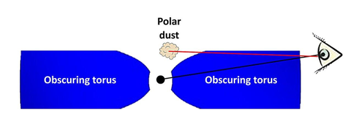 Diagramma schematico che mostra la possibile geometria del toro di polvere e delle nubi di polvere polari attorno al buco nero di W2246−0526.