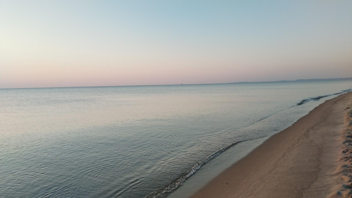 Mare