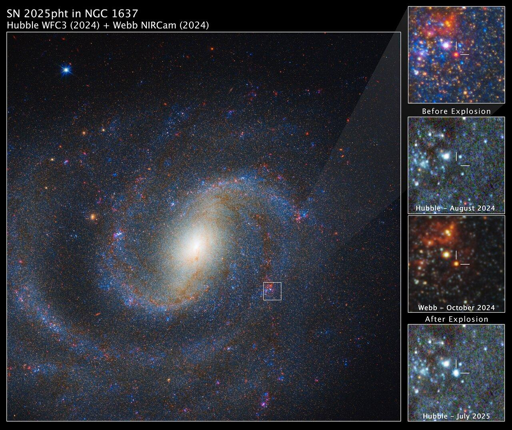 L’immagine principale a sinistra mostra una vista combinata di Webb e Hubble della galassia a spirale NGC 1637, con la regione di interesse in alto a destra.I tre pannelli rimanenti presentano una visione dettagliata di una supergigante rossa prima e dopo l’esplosione. La stella non è visibile nell’immagine di Hubble Space Telescope precedente all’esplosione, ma compare nell’immagine ottenuta dal James Webb Space Telescope. La vista di luglio 2025 ripresa da Hubble mostra invece il bagliore residuo lasciato dall’esplosione.