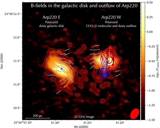 I campi magnetici del disco galattico e del deflusso polveroso e molecolare della galassia in fusione Arp 220, osservati con l’Atacama Large Millimeter/submillimeter Array (ALMA).I granelli di polvere allineati magneticamente (linee grigie) indicano un campo magnetico parallelo al disco in Arp 220 Est, mentre in Arp 220 Ovest il campo magnetico è parallelo al deflusso (contorni rossi e blu) generato dall’intensa attività di starburst. L’emissione molecolare di CO mostra un campo magnetico collimato (linee blu e rosse) lungo i rapidi deflussi molecolari di Arp 220 Ovest.
