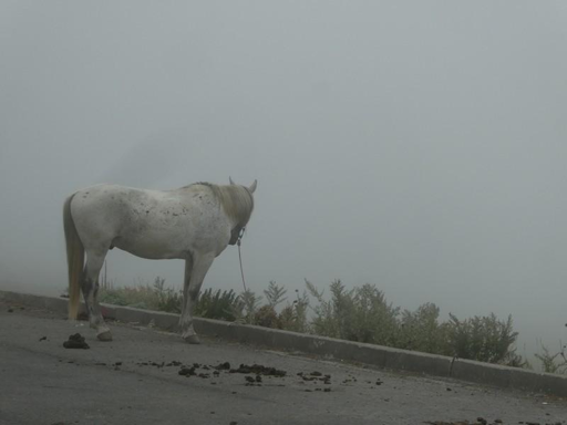 Stepantsminda, Georgia.