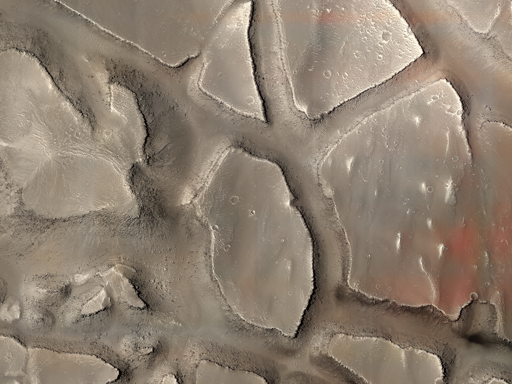 Candor Chasma è uno dei canyon più grandi che compongono Valles Marineris. È lungo circa 810 km (503 miglia). Il fondo di Candor Chasma presenta una varietà di morfologie, tra cui depositi stratificati, dune, scogliere a strapiombo e altipiani.