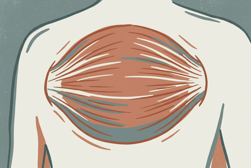 A Pechino hanno impiantato sotto la pelle di topi anziani un pezzo di muscolo cresciuto in laboratorio dalle loro stesse cellule. Da solo, senza stimoli esterni, ha continuato a contrarsi per mesi: i topi trattati sono diventati più forti e con ossa più dense.

Nell'uomo servirebbero probabilmente più innesti insieme.
