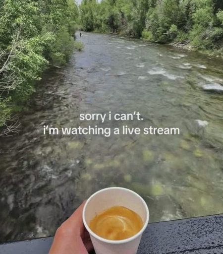  L'immagine mostra una mano che tiene un bicchiere di carta con un caffè, con un fiume che scorre in primo piano. Sullo sfondo, si vedono alberi verdi e una persona che pescando in lontananza. Il testo sovrapposto recita: "sorry i can't. i'm watching a live stream." Questo testo suggerisce che la persona non può partecipare a un'attività perché sta guardando un flusso di video in diretta.
