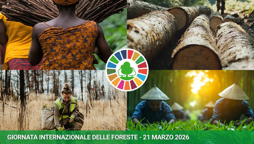 Locandina della Giornata Internazionale delle foreste 2026 con quattro riquadri: in tutti ci sono persone che lavorano dentro l'ambiente forestale. 