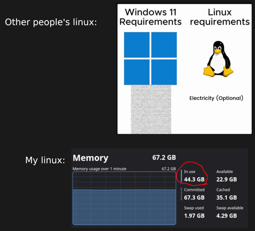 Top of image shows "Other people's linux" with a screen shot of a previous meme showing windows with lots of requirements and linux with "Electricity (optional)". Bottom has "My linux" with a screen shot of a linux memory usage screen showing 67GB of memory and 44GB in use