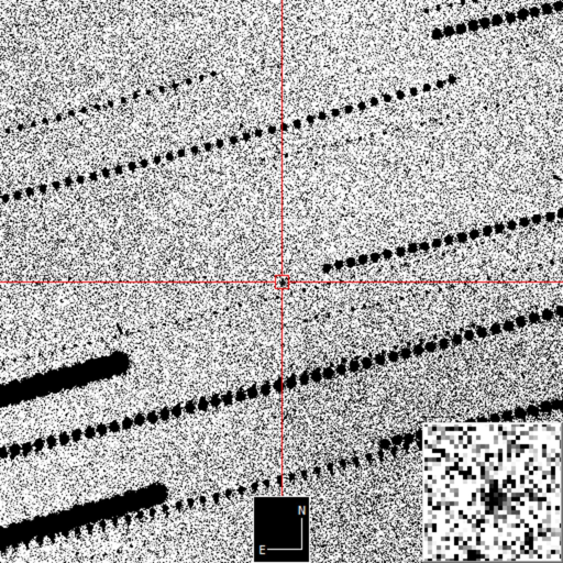 Immagine dell’asteroide 2025 TF, che ha effettuato un passaggio ravvicinato sopra l’Antartide il 1 ottobre.