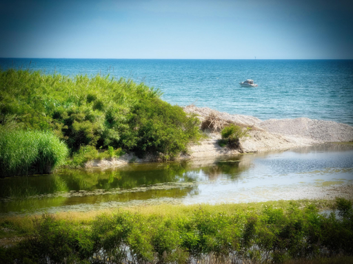Paesaggio di spiaggia con vegetazione verde e barca a vela in lontananza sul mare