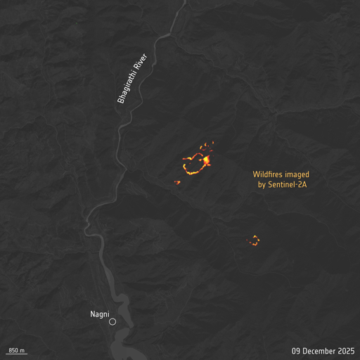 In recenti prove, questo satellite ormai “anziano” è stato persino attivato di notte per valutare le sue prestazioni al buio — e i risultati sono stati sorprendentemente positivi, offrendo notizie incoraggianti per la missione di seguito Copernicus Sentinel-2 Next Generation, attualmente in fase di sviluppo.
Questa immagine mostra incendi boschivi in India, ripresi di notte il 9 dicembre 2025. Il segnale di Sentinel-2A è sovrapposto a una mappa di base in scala di grigi.