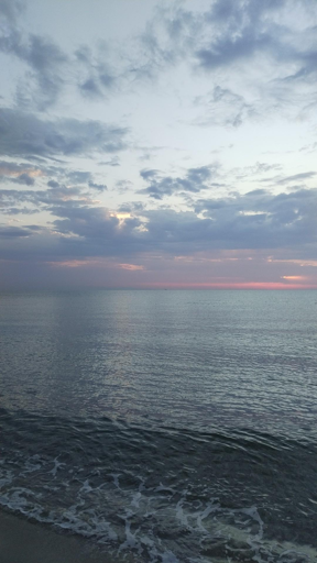 Colori di mezza estate