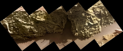 Questo mosaico è composto da 50 immagini individuali scattate dal Mars Hand Lens Imager (MAHLI) di Curiosity, una fotocamera montata all’estremità del braccio robotico del rover, il 21 agosto 2025, durante il 4.636º giorno marziano (sol) della missione.

In ciascuno dei cinque punti di ripresa sono state scattate dieci immagini con diverse impostazioni di messa a fuoco per ottenere un mosaico nitido. Le immagini sono state assemblate insieme dopo essere state trasmesse sulla Terra.

Noduli come questi sono stati osservati molte volte sul Pianeta Rosso, anche dal rover Curiosity. Si sono formati grazie ai minerali rimasti quando l’acqua si è prosciugata miliardi di anni fa. Le formazioni boxwork, che attraversano la superficie per chilometri, suggeriscono che antiche acque sotterranee scorressero in questa regione di Marte più tardi di quanto si pensasse, sollevando nuove domande su quanto a lungo la vita microbica avrebbe potuto sopravvivere su Marte miliardi di anni fa, prima che fiumi e laghi si prosciugassero.


