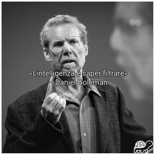 Frase di Daniel Goleman: "L'intelligenza è saper filtrare"