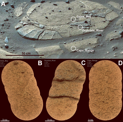 La caratteristica concentrica nel margine orientale dell'unità Margin, cratere Jezero, Marte.